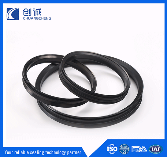 Danieli lip seal